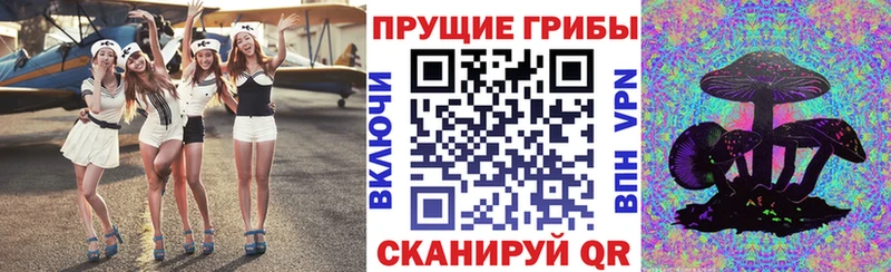 hydra ссылки  хочу наркоту  Аткарск  мориарти Telegram  Галлюциногенные грибы Magic Shrooms 